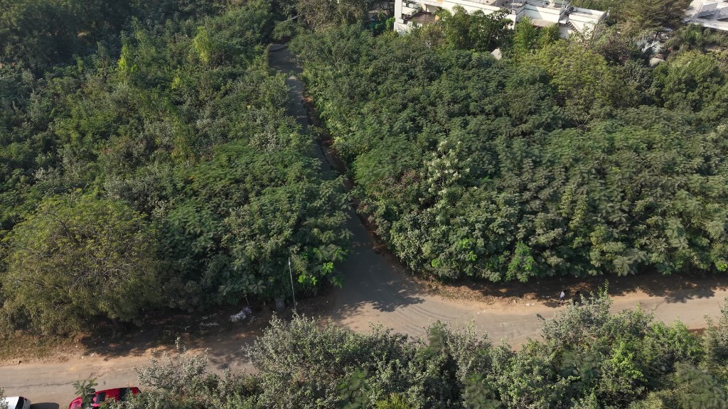 Aerial view of the 5.1-acre Miyawaki restoration at Makarba, Gujarat