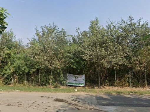 Plots 3 and 5 after restoration — January 2026 street view