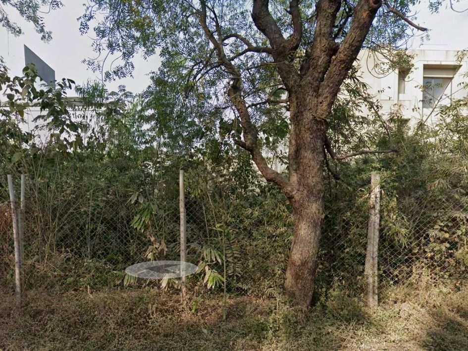 Plot 4 after restoration — January 2026 street view