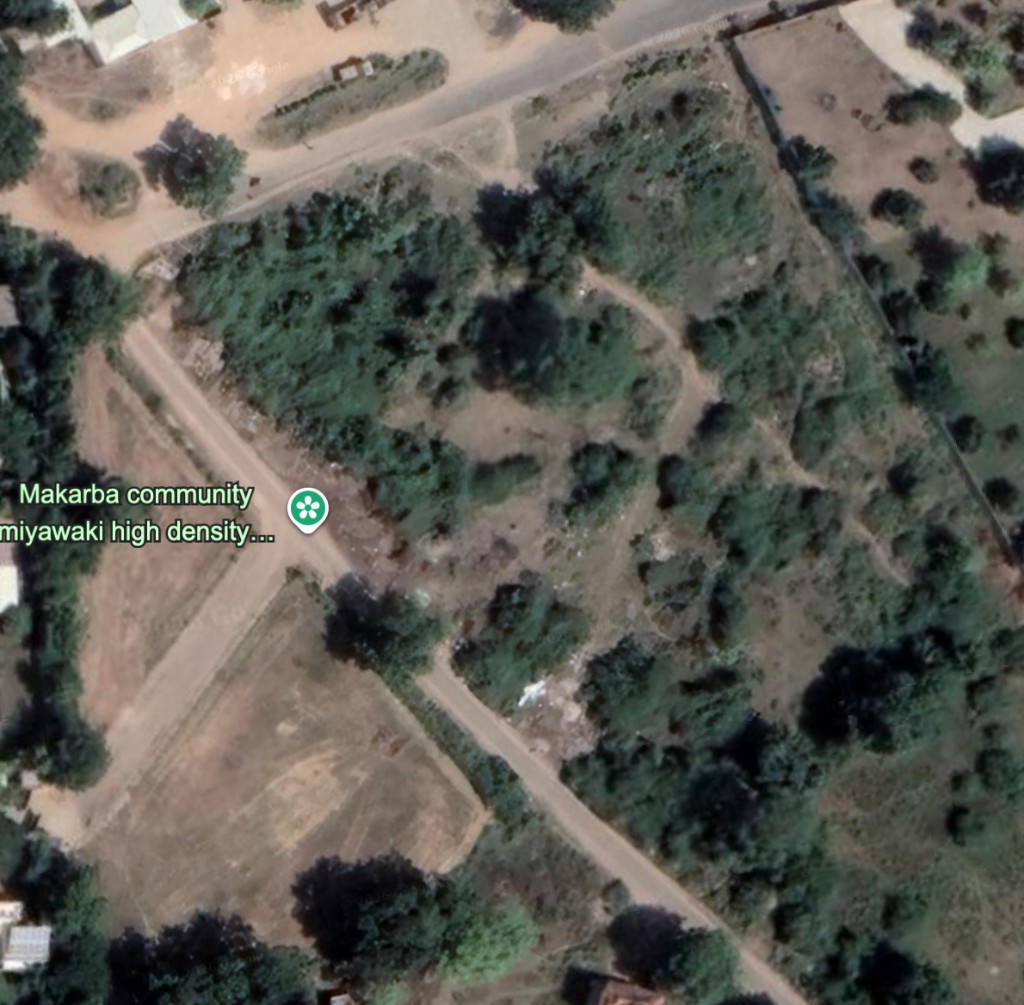 October 2022 satellite view — Makarba community Miyawaki high-density planting area