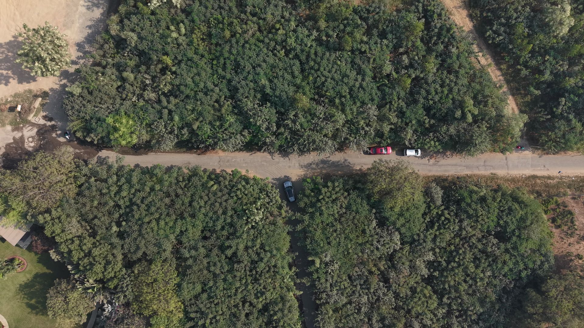 Aerial view of 5.1-acre Miyawaki restoration site in Makarba, Gujarat