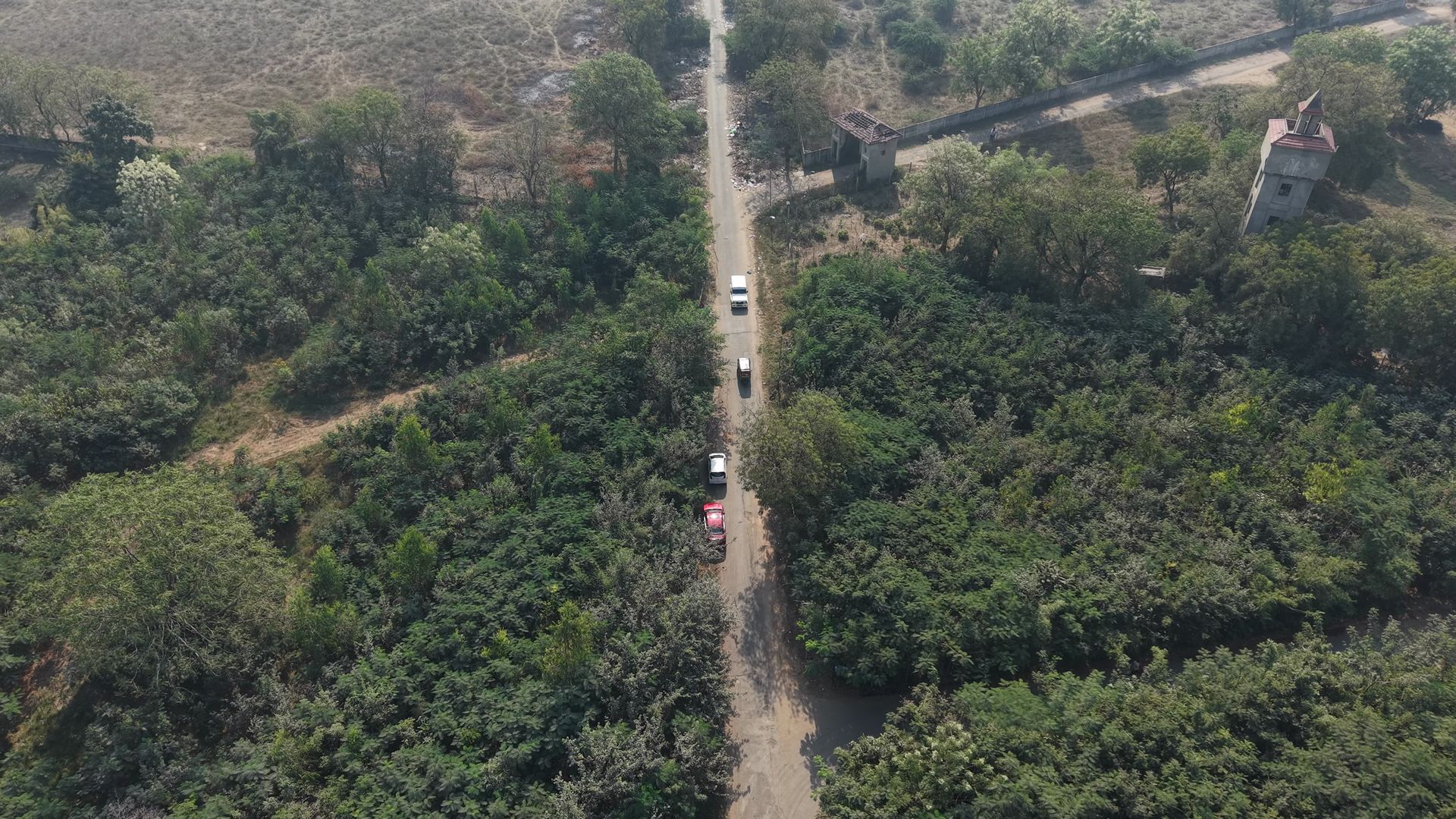 Aerial view of restored canopy alongside road — impact documented from above
